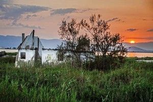 Bello abandono