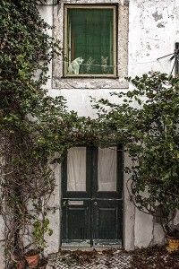 Vecinos de arriba