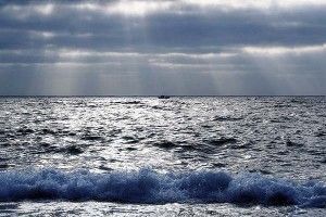Lobos solitarios