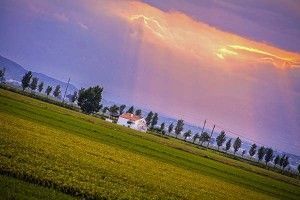 Luces sobres los arrozales