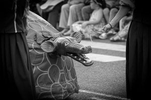 Festa del Renaixement 2016 - _MG_3171