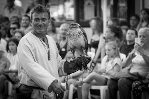 Festa del Renaixement 2016 - _MG_3227