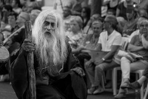 Festa del Renaixement 2016 - _MG_3339