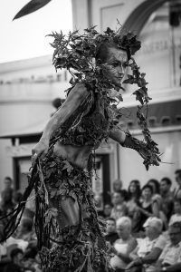 Festa del Renaixement 2016 - _MG_3342