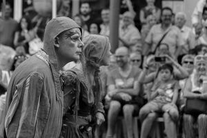 Festa del Renaixement 2016 - _MG_3434