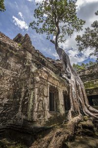 camboya_mg_4964