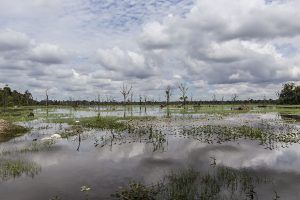 camboya_mg_5367