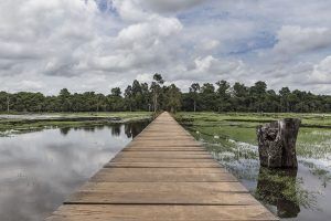 camboya_mg_5381