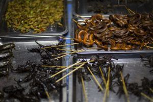 camboya_mg_5483