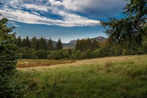 escocia_mg_4976