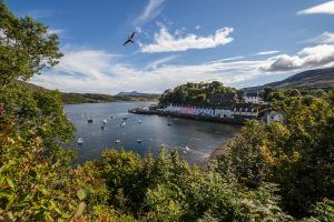 escocia_mg_5207