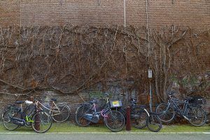 amsterdam_mg_0403