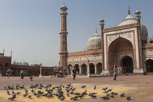 india_mg_1859
