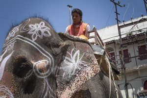 india_mg_2139