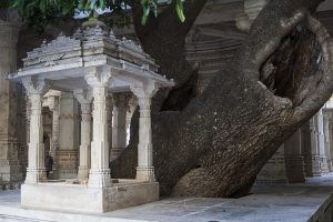 india_mg_2207