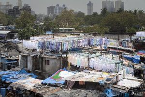india_mg_2217